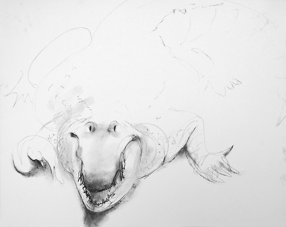 alligator portrait (Petunia)