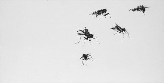 April Fly