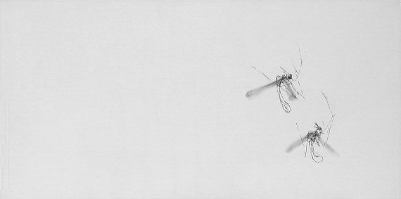 April Insect
