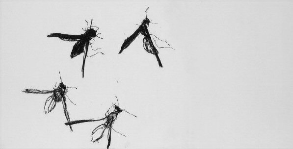 April Wasp