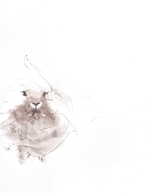 rabbit memory 1