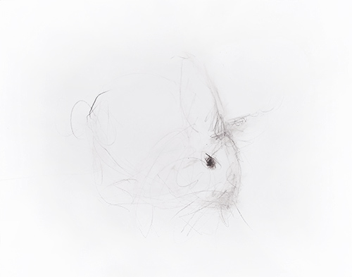 rabbit memory 12