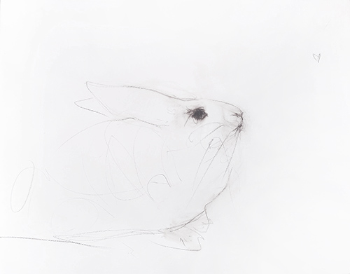 rabbit memory 13