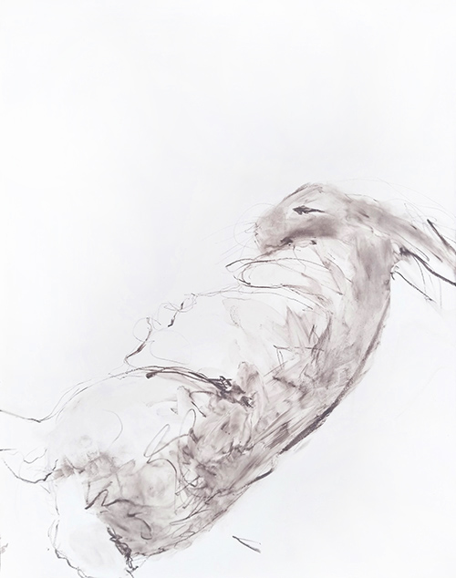 rabbit memory 14