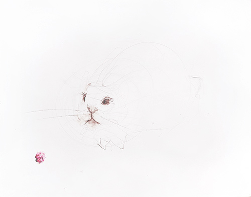 rabbit memory 2