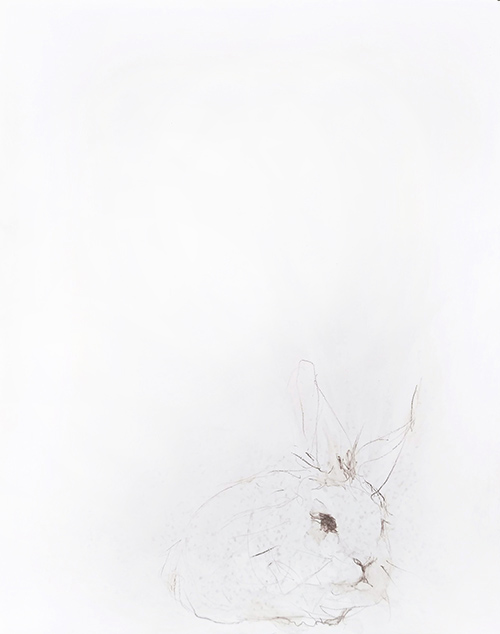 rabbit memory 9