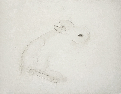 bunny study 1