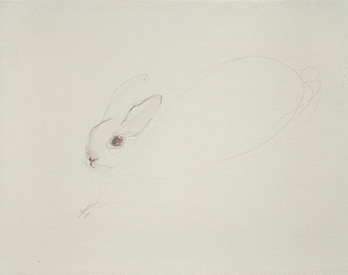 bunny study 4