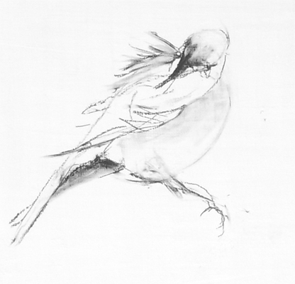 detail