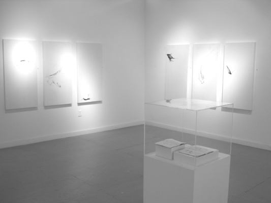 exhibpic2