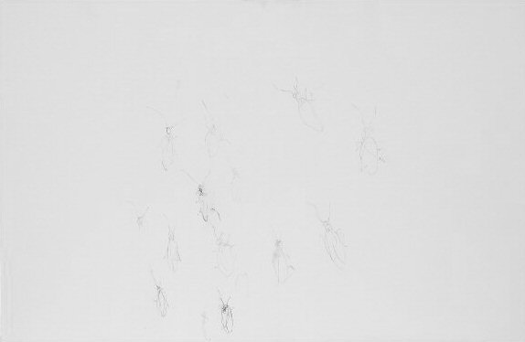 April Falling Insect