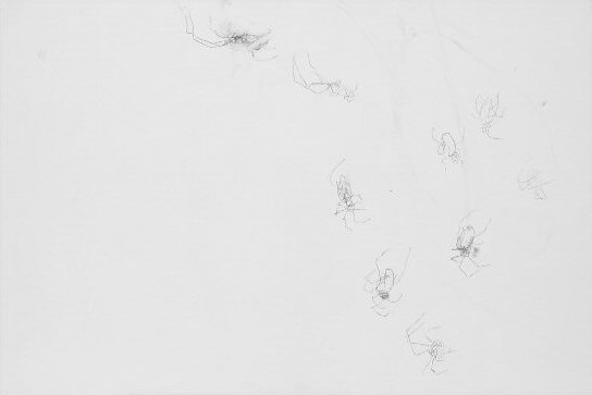 April Small Spider