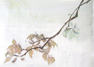 branch